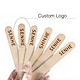 popsicle sticks